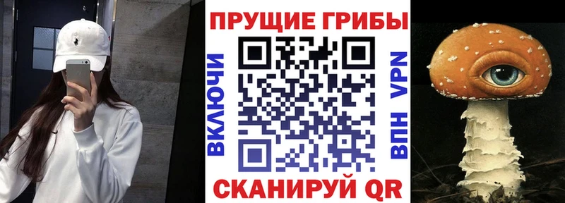 где продают   Среднеколымск  Псилоцибиновые грибы Psilocybine cubensis 
